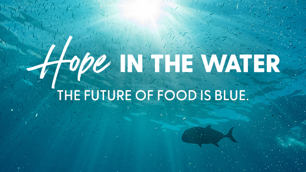 Hope in the Water | PBS LearningMedia